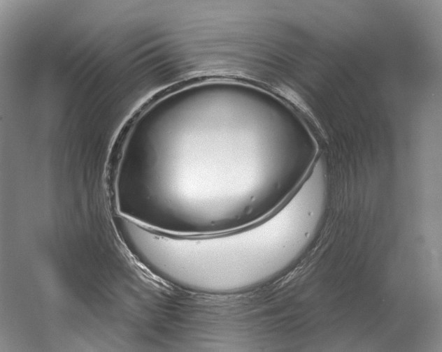 X0000064721068200602241630