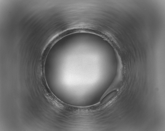 X0000064721069200602241630