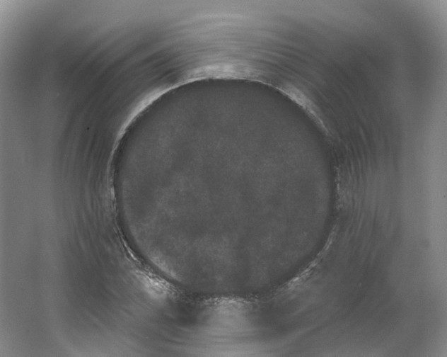 X0000064721070200602241630