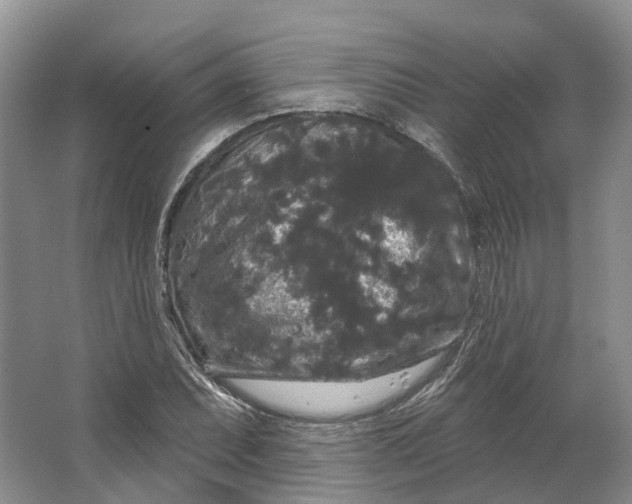 X0000064721071200602241630