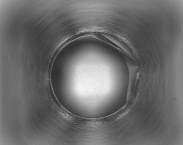 X0000064721073200602241630