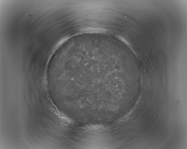 X0000064721074200602241630