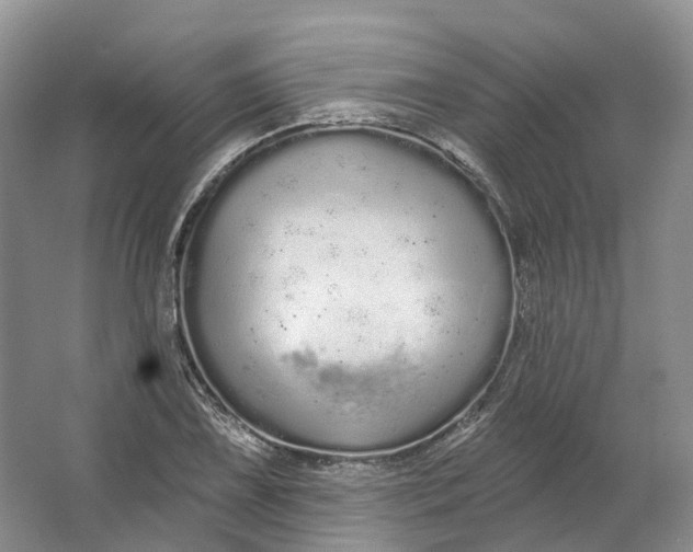 X0000064721075200602241630