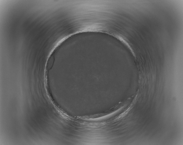 X0000064721077200602241630