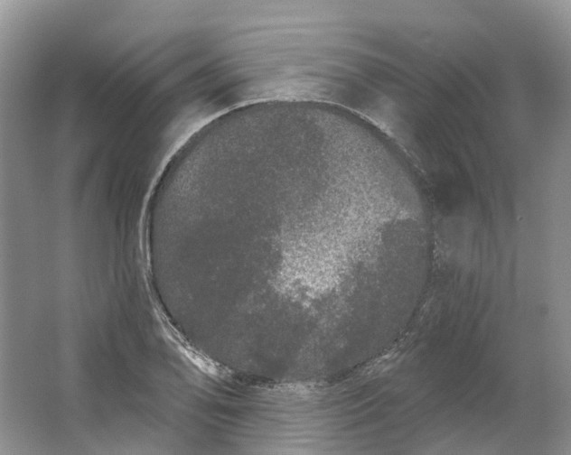 X0000064721078200602241630