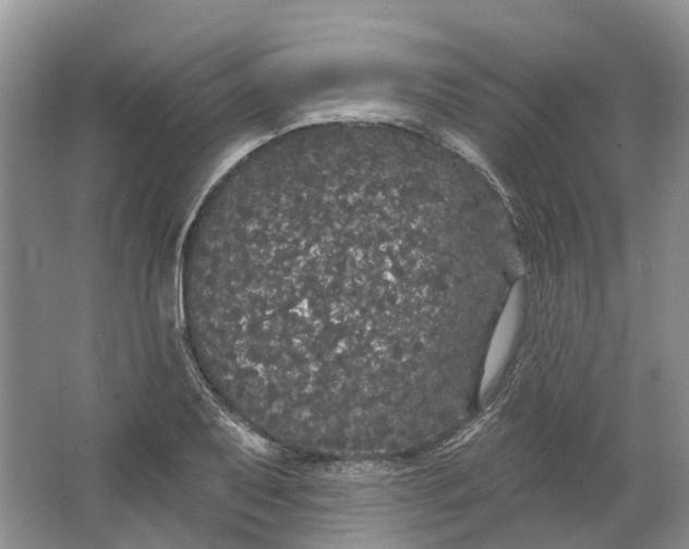 X0000064721079200602241630