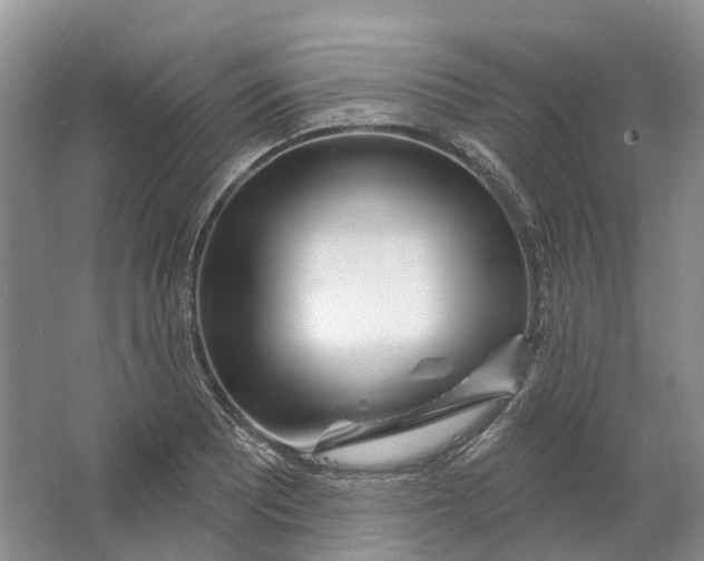 X0000064721081200602241630