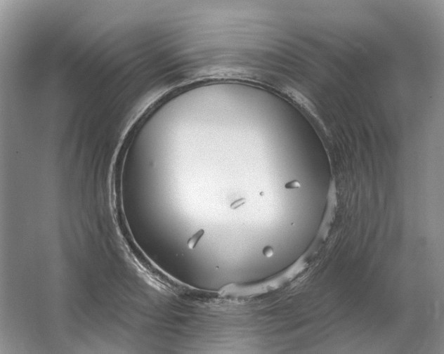 X0000064721082200602241630