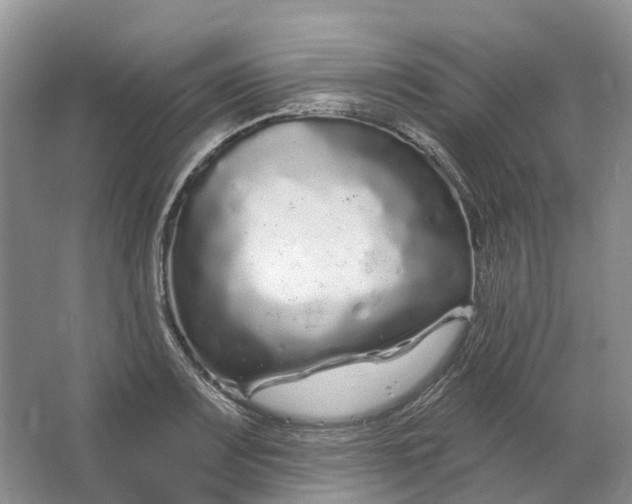 X0000064721083200602241630