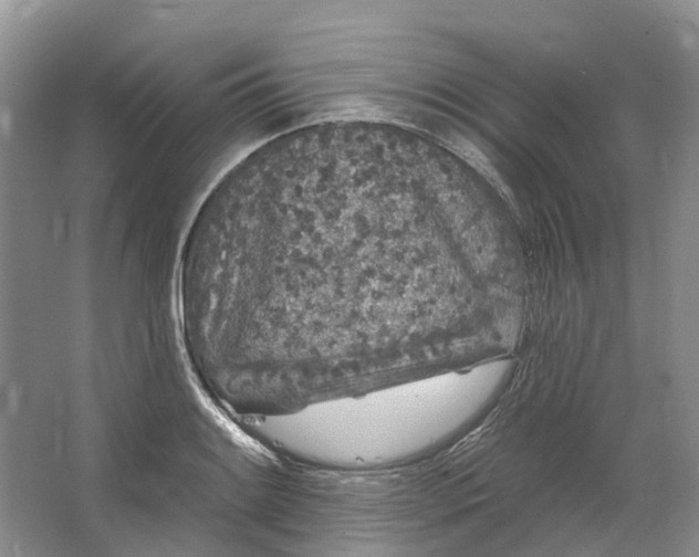 X0000064721084200602241630