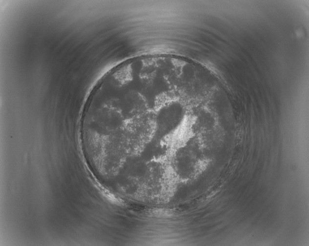 X0000064721086200602241630