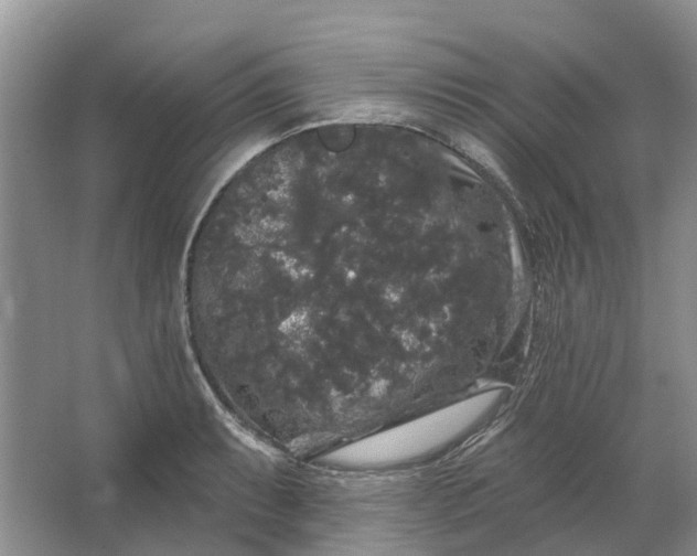 X0000064721087200602241630