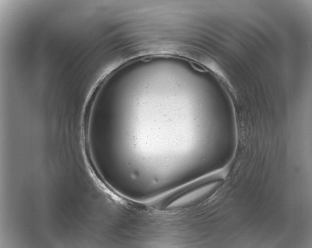 X0000064721088200602241630