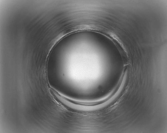 X0000064721089200602241630