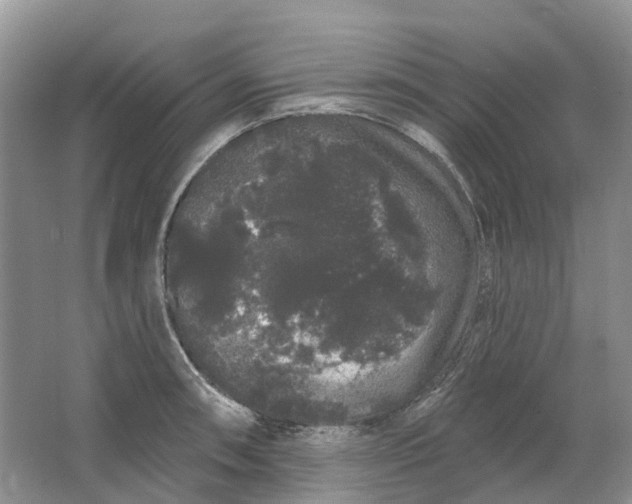 X0000064721090200602241630