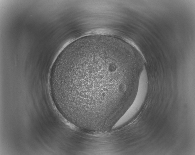 X0000064721091200602241630