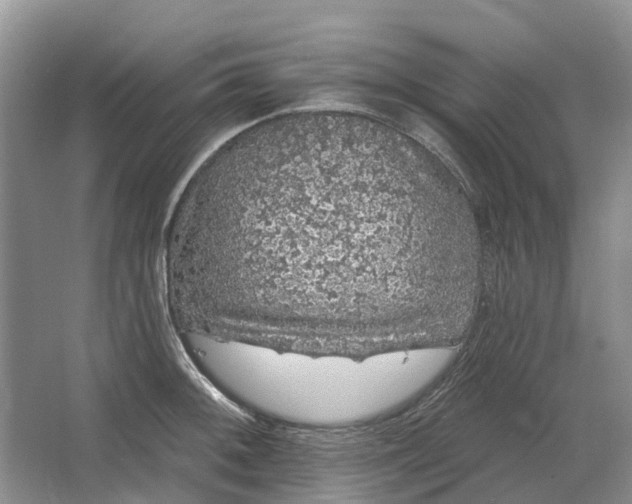 X0000064721092200602241630