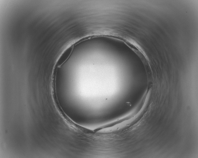 X0000064721093200602241630