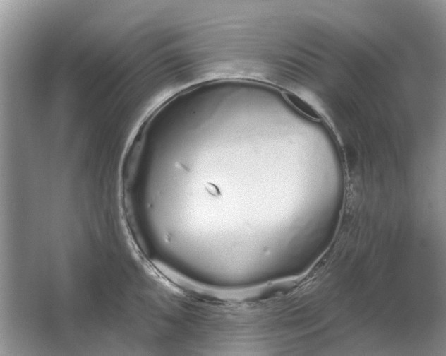 X0000064721096200602241630