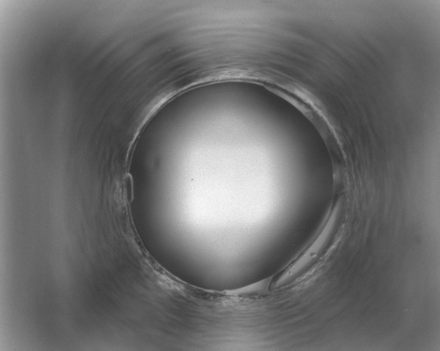 X0000064721097200602241630