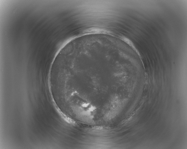 X0000064721098200602241630