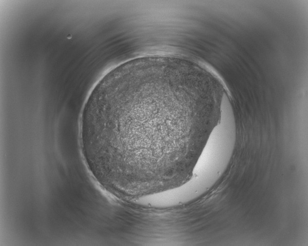 X0000064721099200602241630