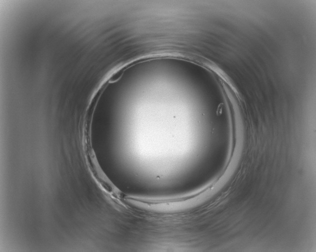 X0000064721101200602241629