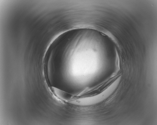 X0000064721102200602241629