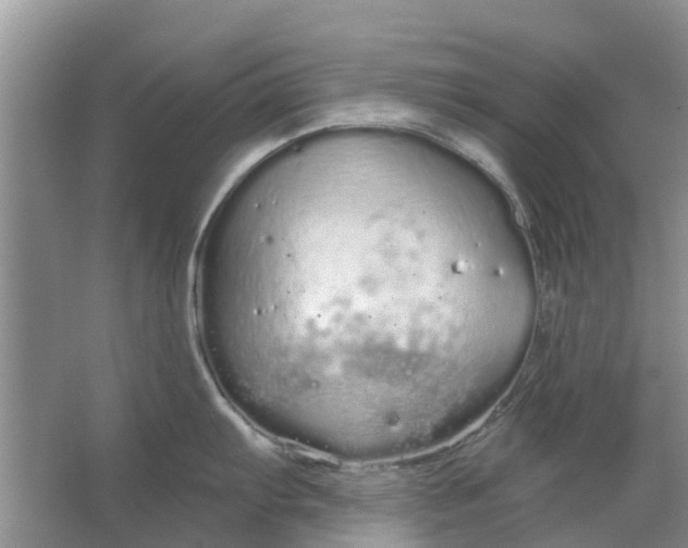 X0000064721103200602241629