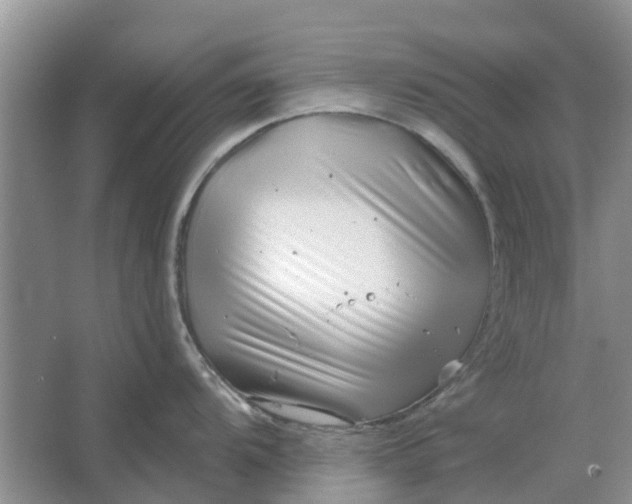 X0000064721104200602241629