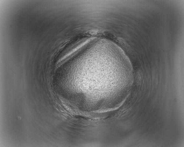 X0000064721105200602241628