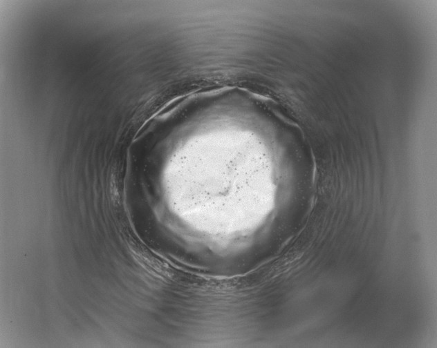 X0000064721106200602241628