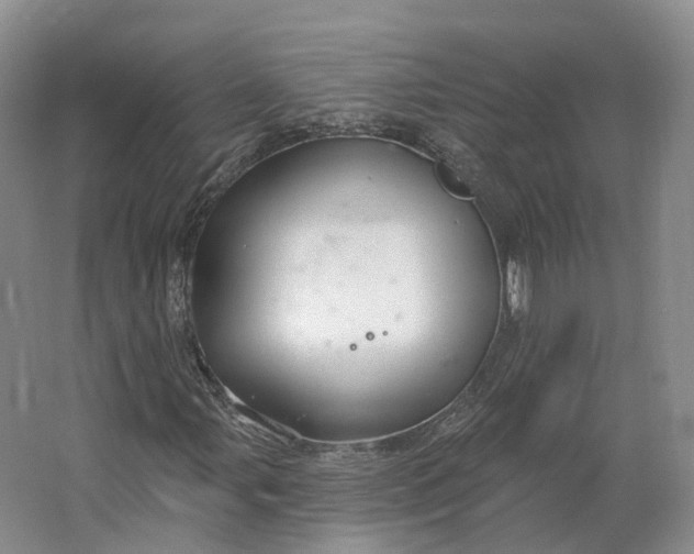 X0000064721107200602241628