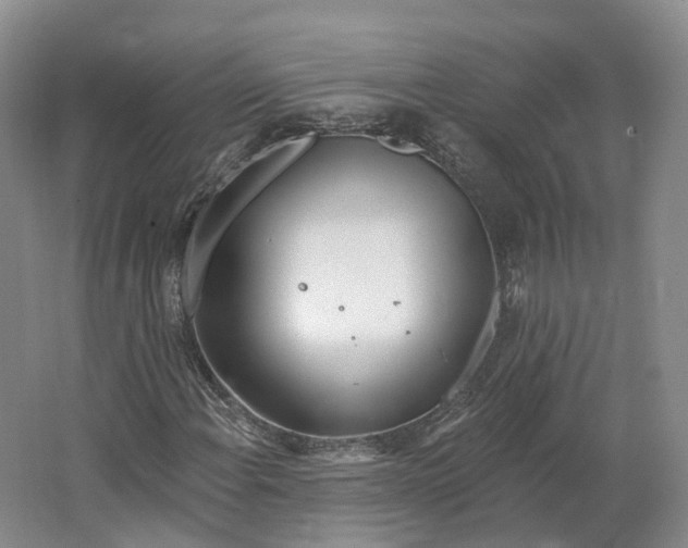 X0000064721108200602241628