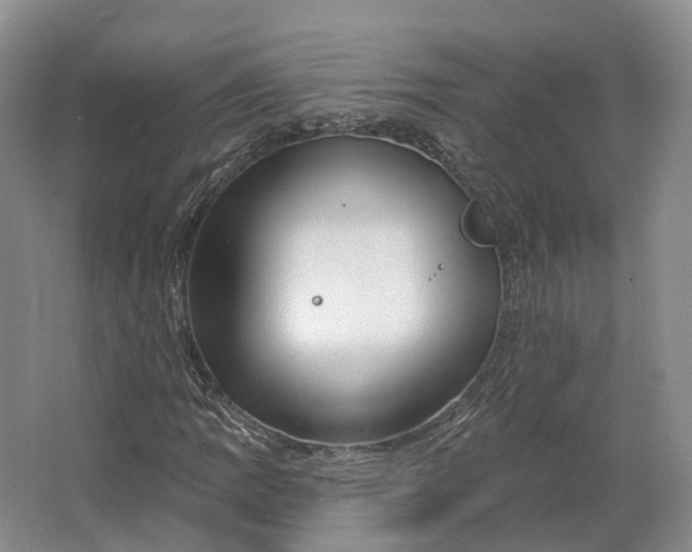 X0000064721109200602241628