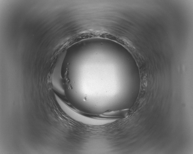 X0000064721110200602241628