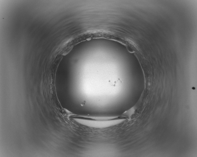 X0000064721111200602241628