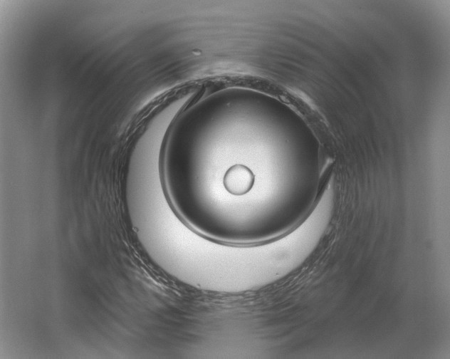 X0000064721112200602241628