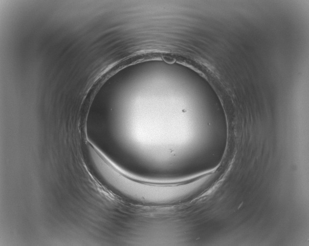 X0000064721113200602241628