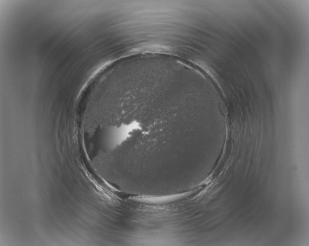 X0000064721115200602241628