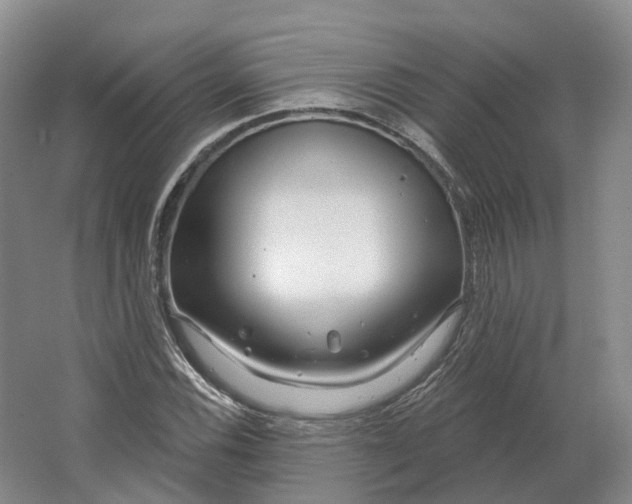 X0000064721116200602241628