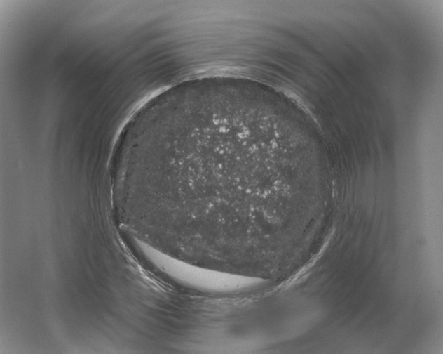 X0000064721117200602241628