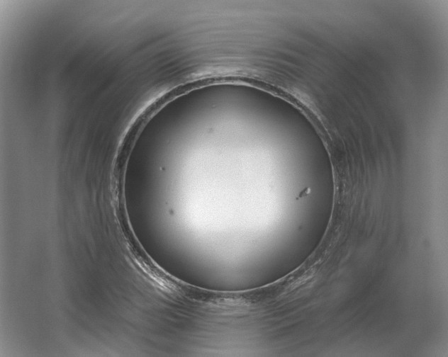 X0000064721119200602241629