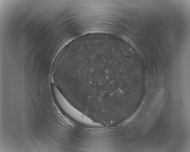 X0000064721121200602241629