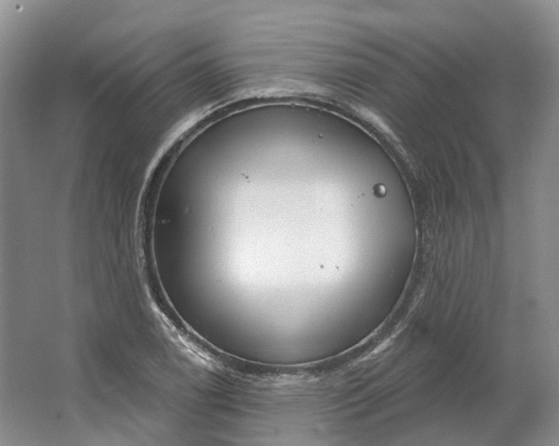 X0000064721122200602241629