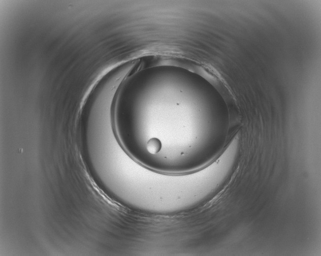 X0000064721123200602241629