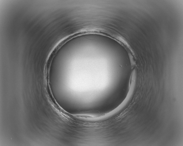 X0000064721124200602241629