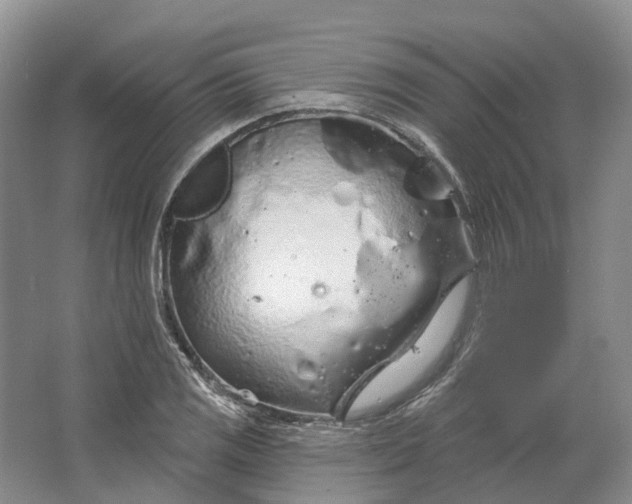 X0000064721125200602241629