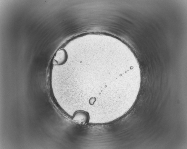 X0000064721126200602241629