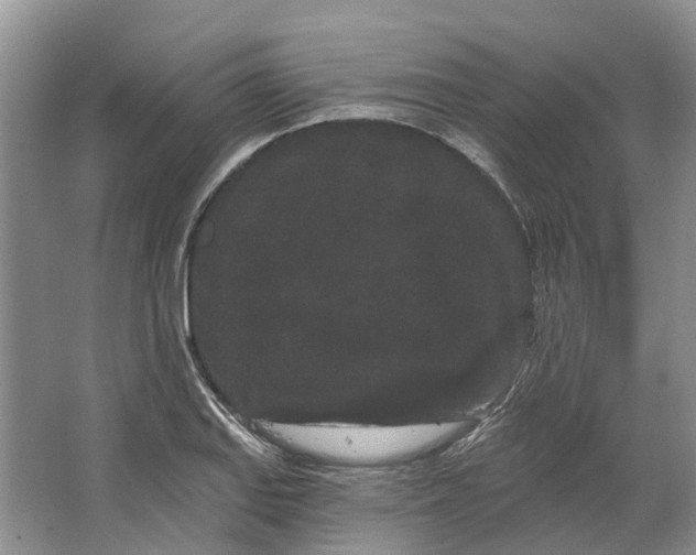 X0000064721127200602241629